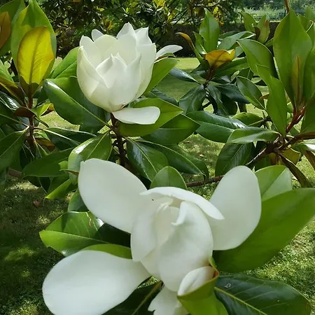 ホテル Des Roches - Climatisation